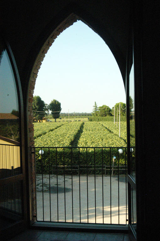 Locanda Merlaschio 파엔차 객실 사진