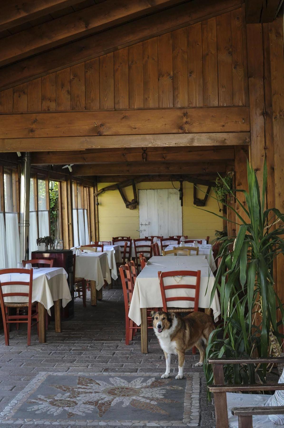 Locanda Merlaschio 파엔차 외부 사진
